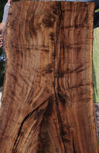 Load image into Gallery viewer, Rustic Claro Walnut Crotchwood Slab
