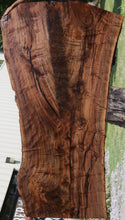 Load image into Gallery viewer, Rustic Claro Walnut Crotchwood Slab

