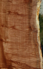 Load image into Gallery viewer, Fiddleback Clusterburl Maple Slab
