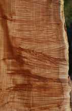Load image into Gallery viewer, Fiddleback Clusterburl Maple Slab
