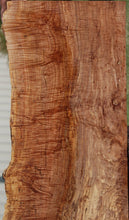 Load image into Gallery viewer, Rustic Exhibition Grade Fiddleback Big Leaf Maple Slab
