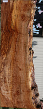 Load image into Gallery viewer, Rustic Exhibition Grade Fiddleback Big Leaf Maple Slab

