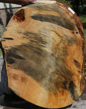 Load image into Gallery viewer, Profiled Ponderosa Pine Mini Slab
