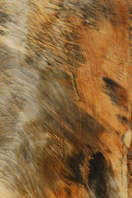 Load image into Gallery viewer, Profiled Ponderosa Pine Mini Slab
