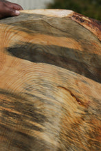 Load image into Gallery viewer, Profiled Ponderosa Pine Mini Slab
