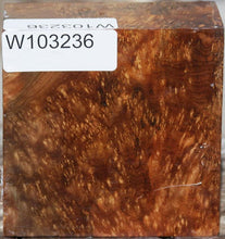 Load image into Gallery viewer, Pyinma Burl Bowl Blank
