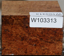 Load image into Gallery viewer, Pyinma Burl Bowl Blank
