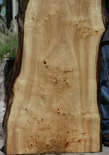 Load image into Gallery viewer, Mappa Burl Slab
