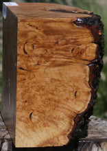 Load image into Gallery viewer, Maple Burl Cap
