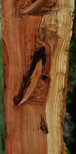 Load image into Gallery viewer, Redwood Slab
