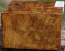 Load image into Gallery viewer, Camphor Burl Bowl Blank
