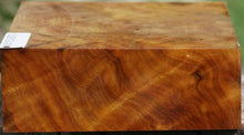 Load image into Gallery viewer, Camphor Burl Bowl Blank
