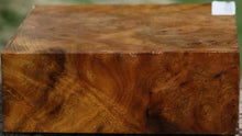 Load image into Gallery viewer, Camphor Burl Bowl Blank
