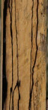 Load image into Gallery viewer, Exhibition Fiddleback Black and White Ebony Lumber
