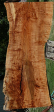 Load image into Gallery viewer, Fiddleback Maple Slab
