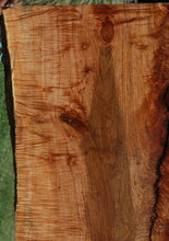 Load image into Gallery viewer, Fiddleback Maple Slab
