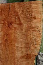 Load image into Gallery viewer, Fiddleback Maple Slab

