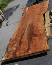 Load image into Gallery viewer, Fiddleback Maple Slab
