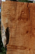 Load image into Gallery viewer, Fiddleback Maple Slab
