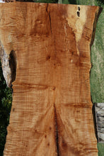 Load image into Gallery viewer, Fiddleback Maple Slab
