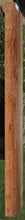 Load image into Gallery viewer, Pyinma Lumber
