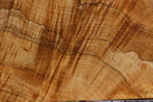 Load image into Gallery viewer, Dyer Oak Burl Mini Slab
