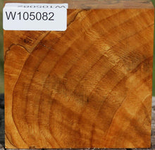 Load image into Gallery viewer, Dyer Oak Burl Bowl Blank
