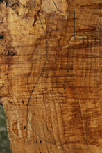Load image into Gallery viewer, Dyer Oak Burl Book Match Slab
