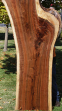 Load image into Gallery viewer, Claro Walnut Slab
