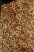 Load image into Gallery viewer, Spalted Maple Burl Lumber
