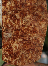 Load image into Gallery viewer, Spalted Maple Burl Lumber
