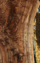 Load image into Gallery viewer, Claro Walnut Profiled Slab
