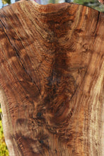Load image into Gallery viewer, Claro Walnut Profiled Slab
