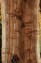 Load image into Gallery viewer, Claro Walnut Profiled Slab
