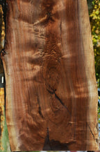 Load image into Gallery viewer, Claro Walnut Slab
