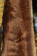 Load image into Gallery viewer, Claro Walnut Slab
