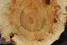 Load image into Gallery viewer, Box Elder Cookie
