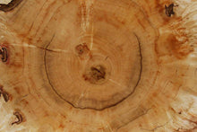 Load image into Gallery viewer, Box Elder Cookie
