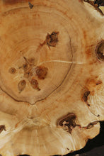 Load image into Gallery viewer, Box Elder Cookie
