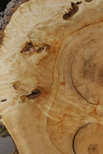 Load image into Gallery viewer, Box Elder Cookie
