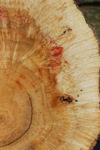 Load image into Gallery viewer, Box Elder Cookie

