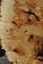 Load image into Gallery viewer, Box Elder Cookie
