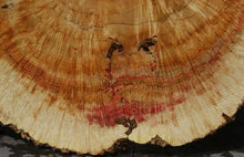 Load image into Gallery viewer, Box Elder Cookie
