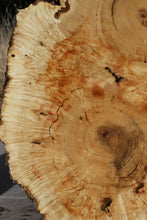 Load image into Gallery viewer, Box Elder Cookie
