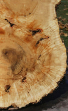 Load image into Gallery viewer, Box Elder Cookie
