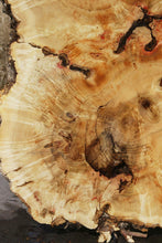 Load image into Gallery viewer, Box Elder Cookie
