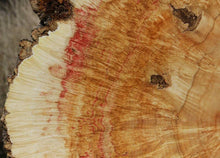 Load image into Gallery viewer, Box Elder Cookie
