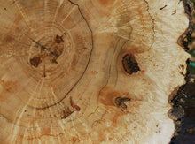 Load image into Gallery viewer, Box Elder Cookie
