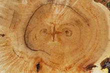 Load image into Gallery viewer, Box Elder Cookie

