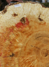 Load image into Gallery viewer, Box Elder Cookie
